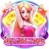 Wild Disco Night