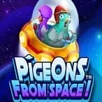 Pigeons from Space